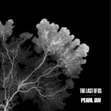 Pearl Jam The Last of Us