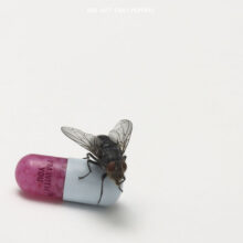 Red Hot Chili Peppers Im With You