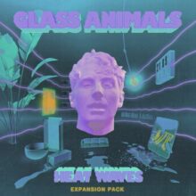 Glass Animals Heat Waves