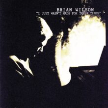 Brian Wilson I Just Wasn't Made for These Times