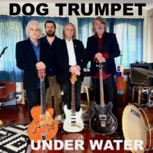 Dog Trumpet Under Water