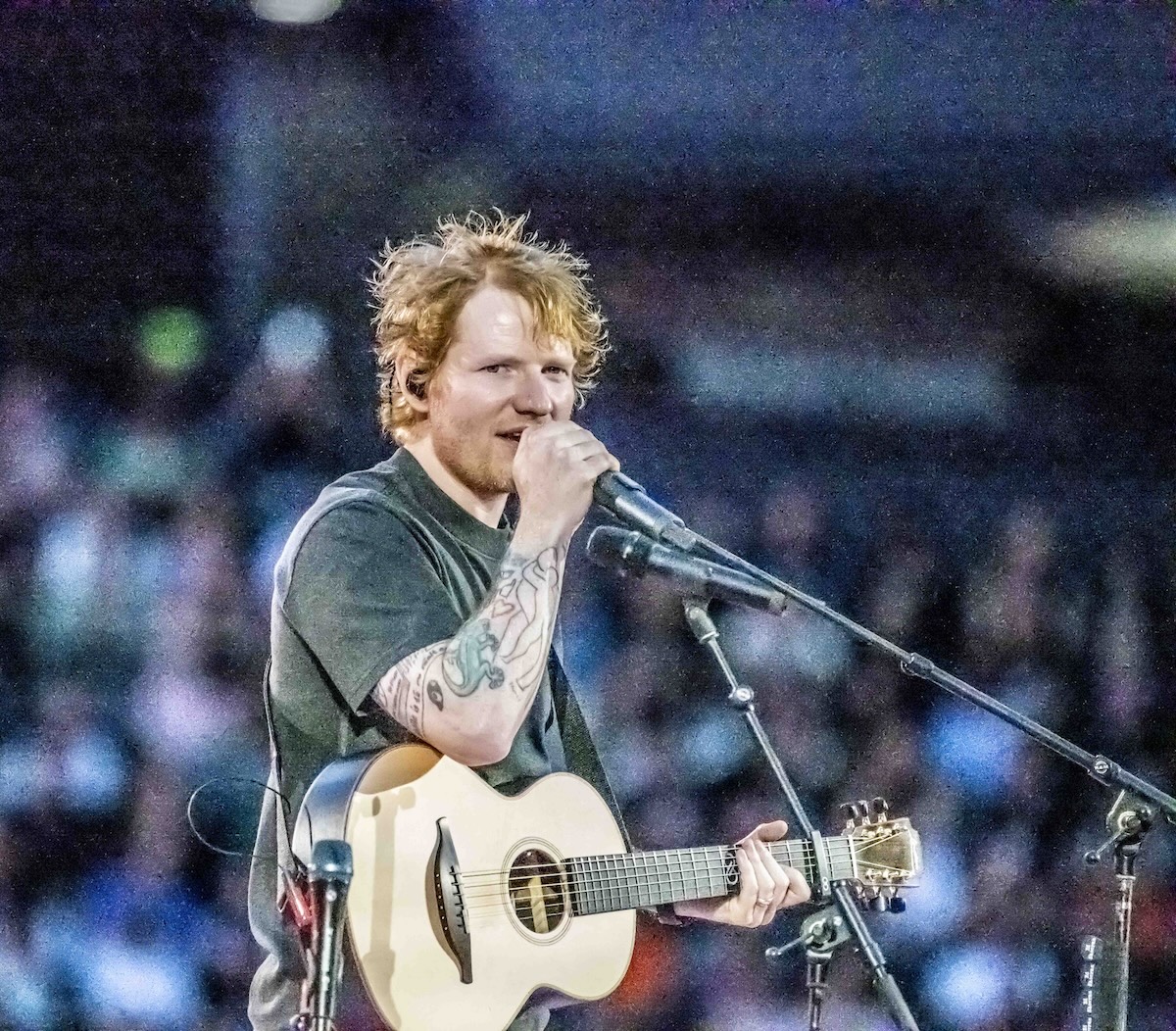 Ed Sheeran by Mary Boukouvalas