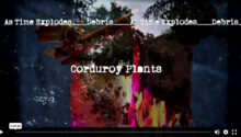 Neil Young Corduroy Plants